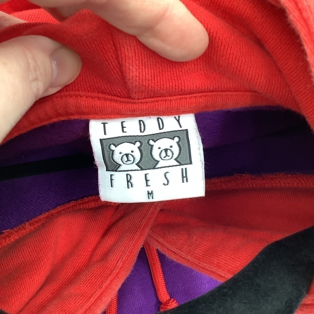 Teddy Fresh Colorblock Hoodie Medium - Picture 5 of 10